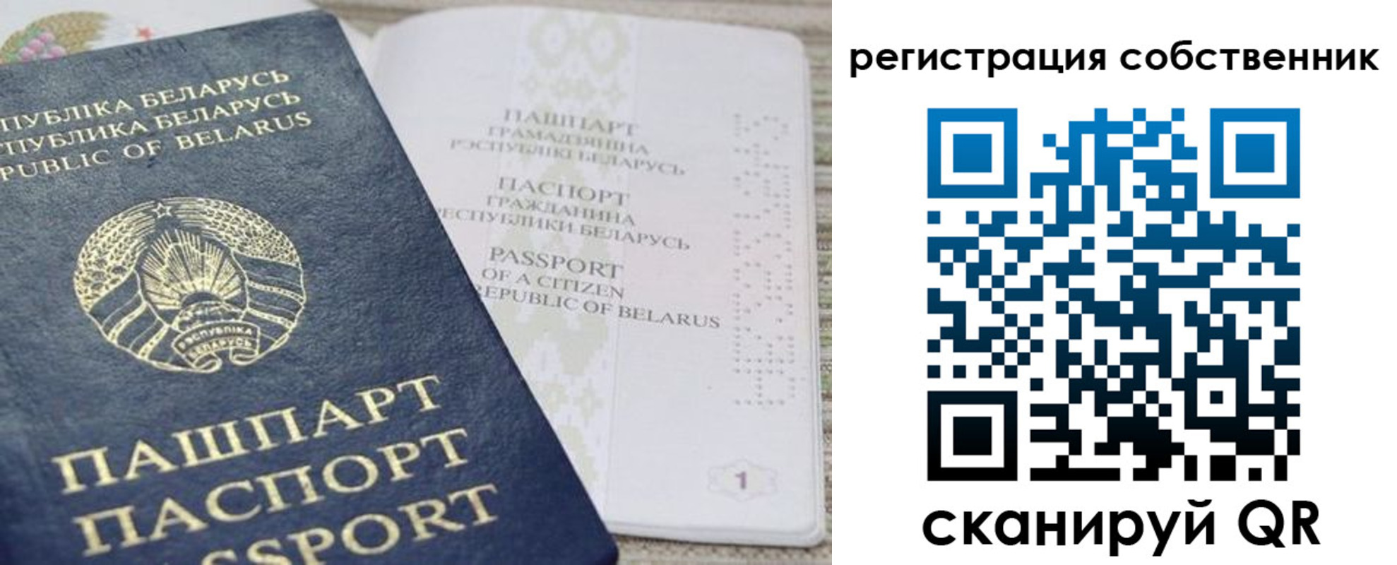 прописка регистрация в Ельне